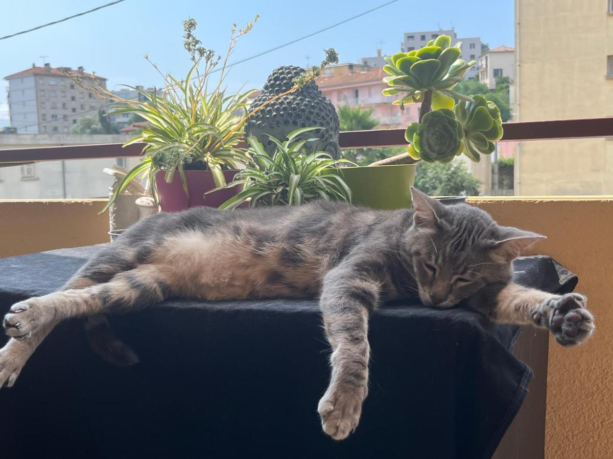 아작시오 Pozzo Di Borgo 아파트 외부 사진